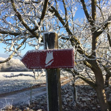 Winter in St. Goar