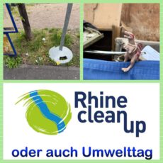 RhineCleanUp in Sankt Goar RhineCleanUp_2025-Sankt-Goar