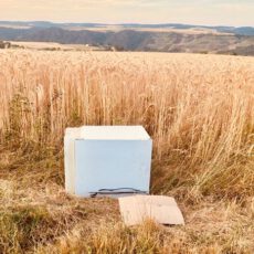 Illegale Müllablagerungen in unseren Wäldern Müll-in-Natur
