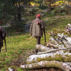 25.10.2026: Drückjagd im Stadtwald Sankt Goar Jagdfoto